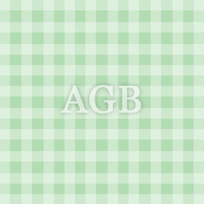 AGB (kein Link)