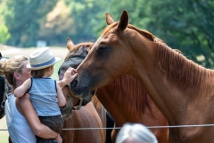Trassenpicknick 2018