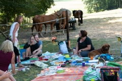 Trassenpicknick 2018